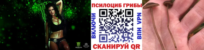 хочу наркоту  МЕГА tor  Псилоцибиновые грибы ЛСД  Володарск 